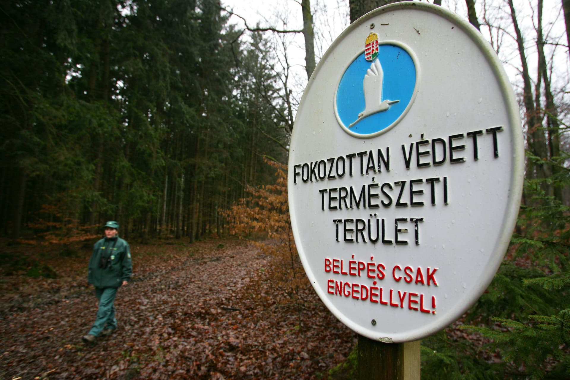Jelentős beruházás a hazai védett területeken