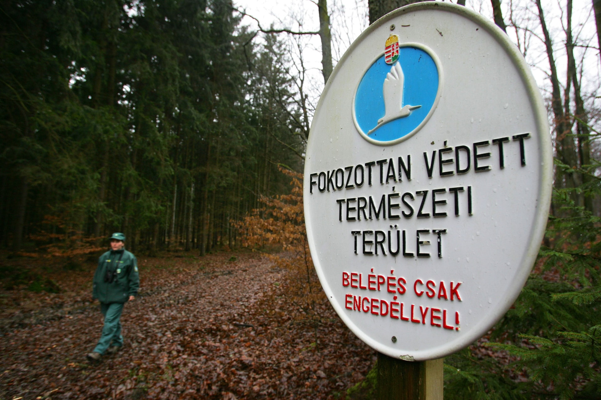 Jelentős beruházás a hazai védett területeken