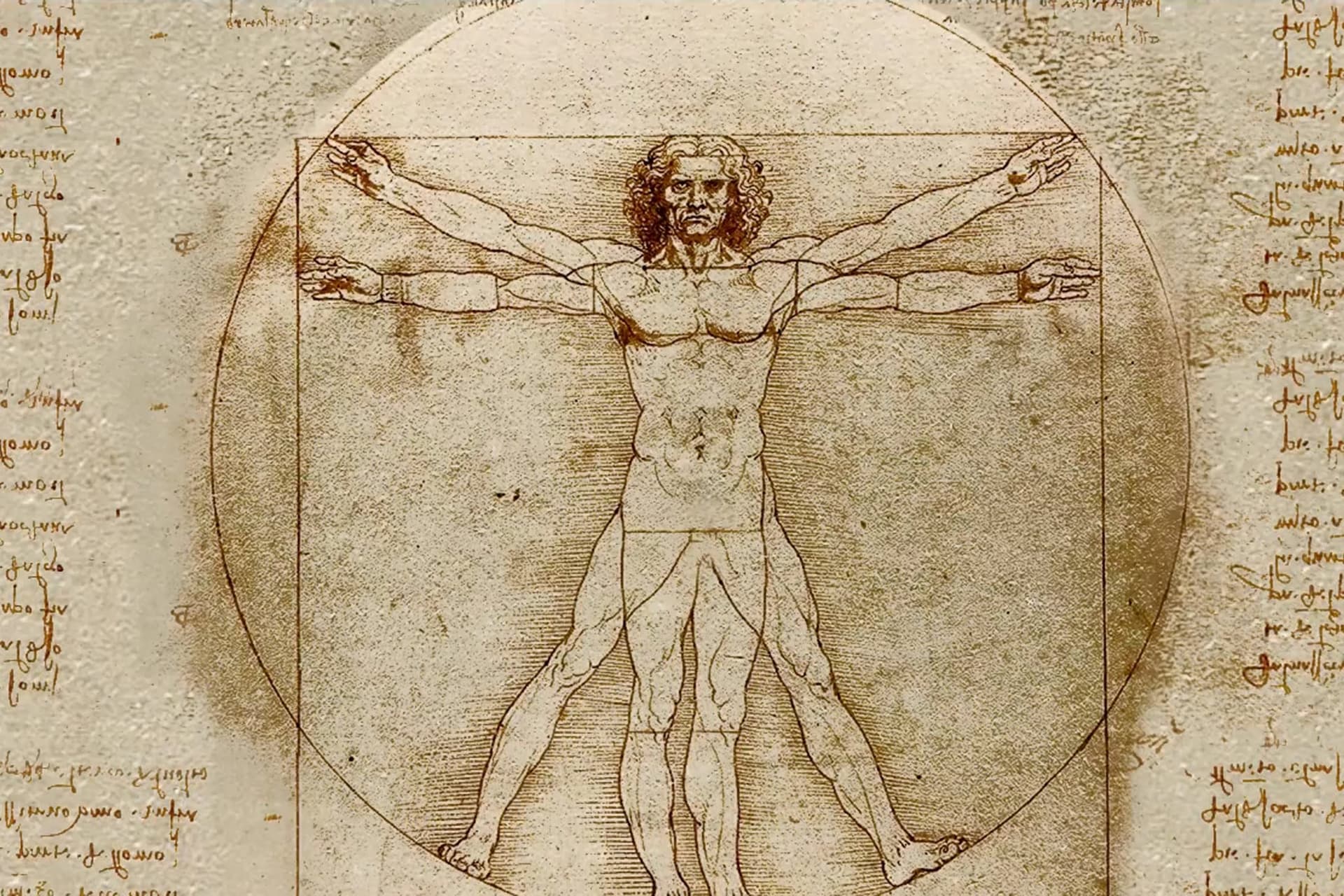 Leonardo da Vinci festményén egy apró részletet figyelmen kívül hagytak