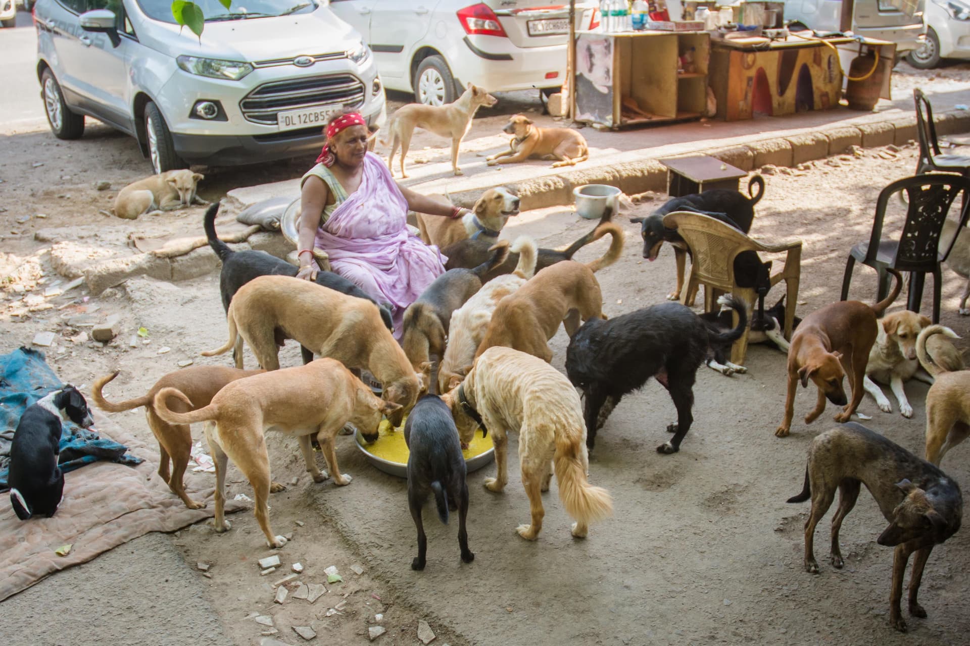 Delhi nyolc hetes határidőt kapott