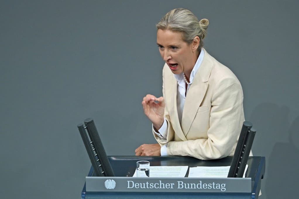 „Összeputyinozták”, mégis vezet az AfD