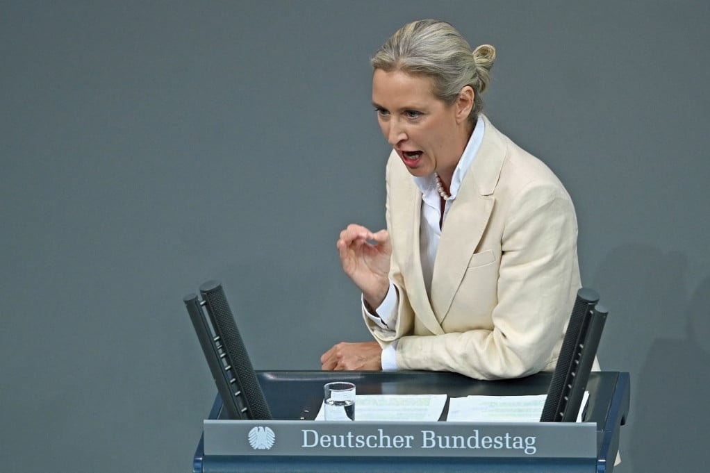 „Összeputyinozták”, mégis vezet az AfD
