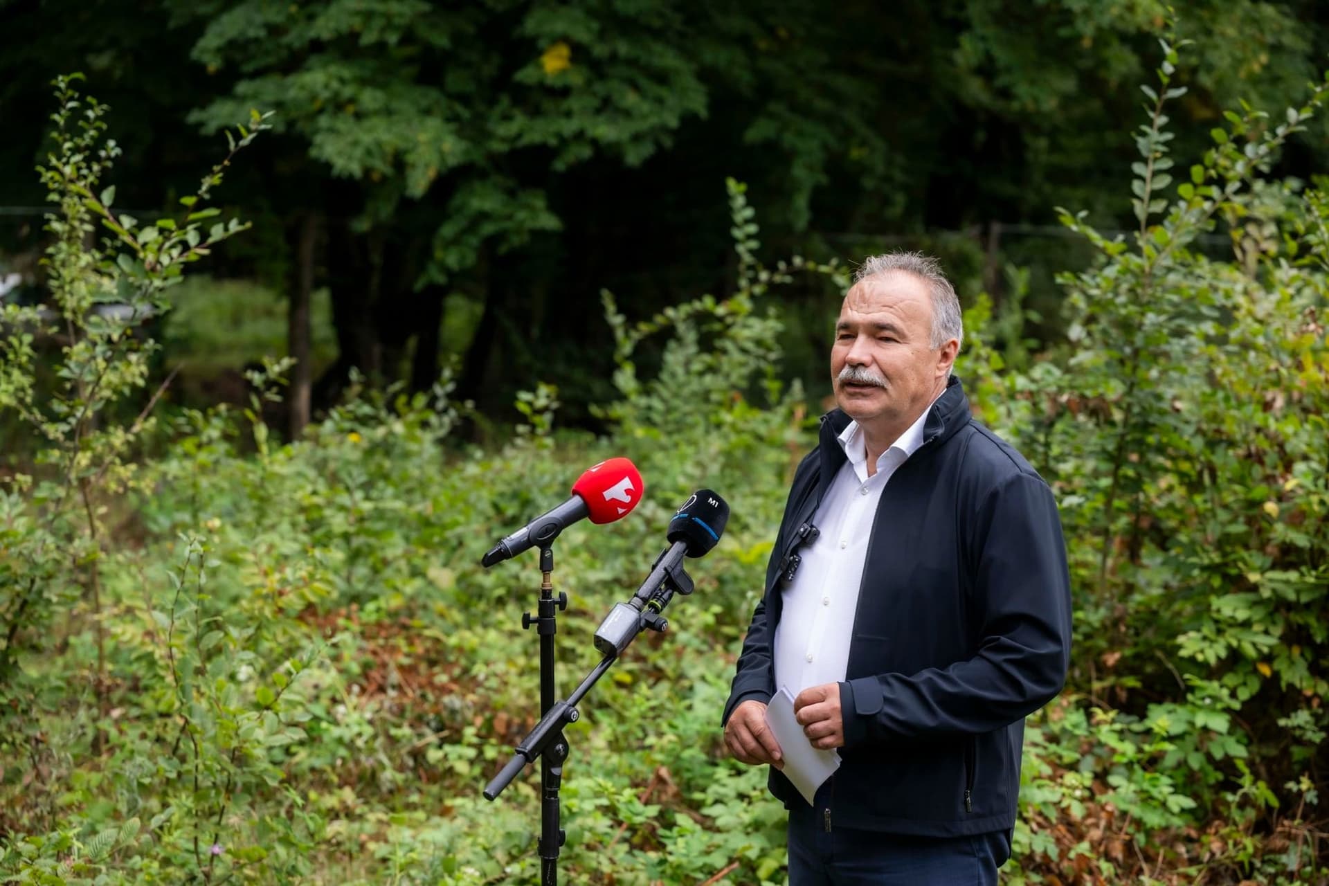 Újabb hatékony eszköz a szőlőkabóca ellen