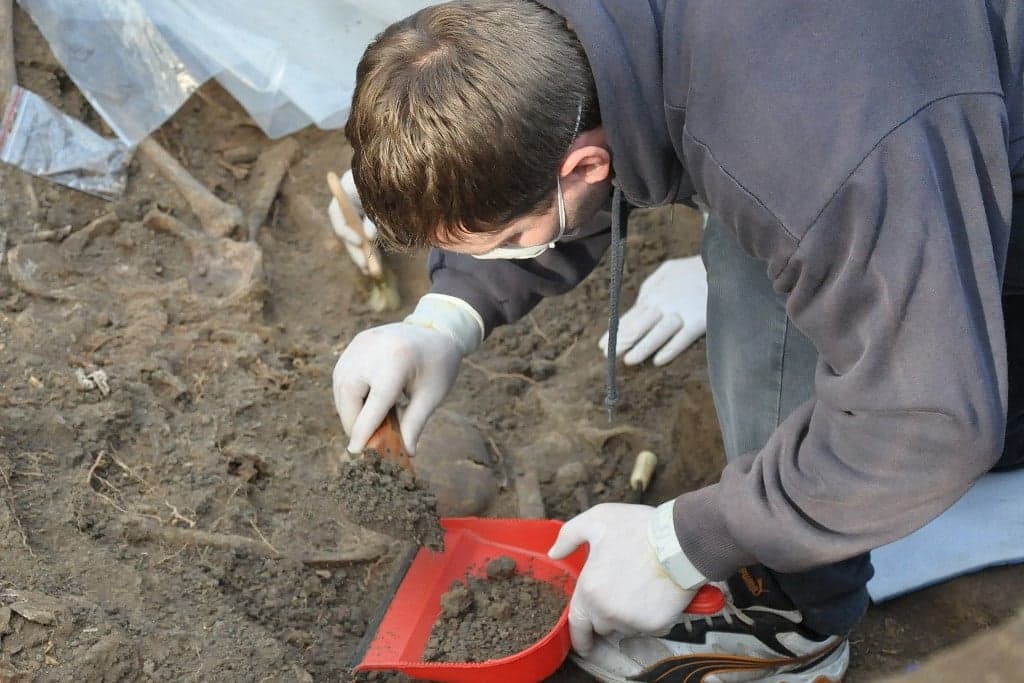 Nemzetközi jelentőségű római kori leletekre bukkantak Gyulafehérváron