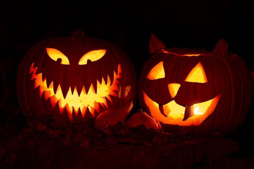 Félelmetesen jó Halloweeni est a Fővárosi Állatkertben