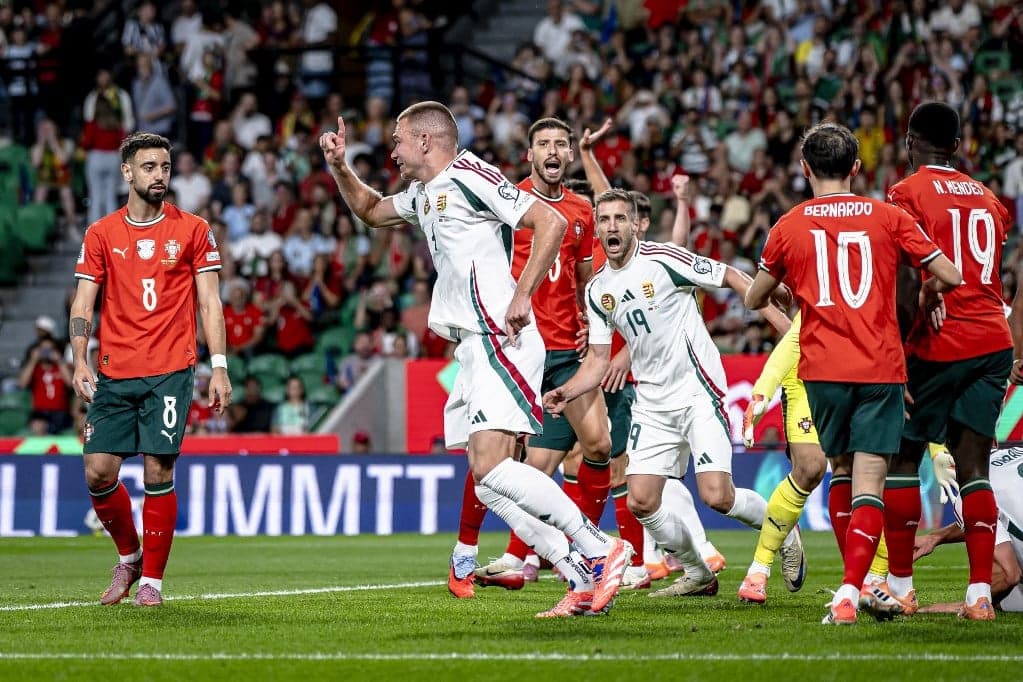 Szalai Attila szerint a kemény munka és az alázat mindig kifizetődik