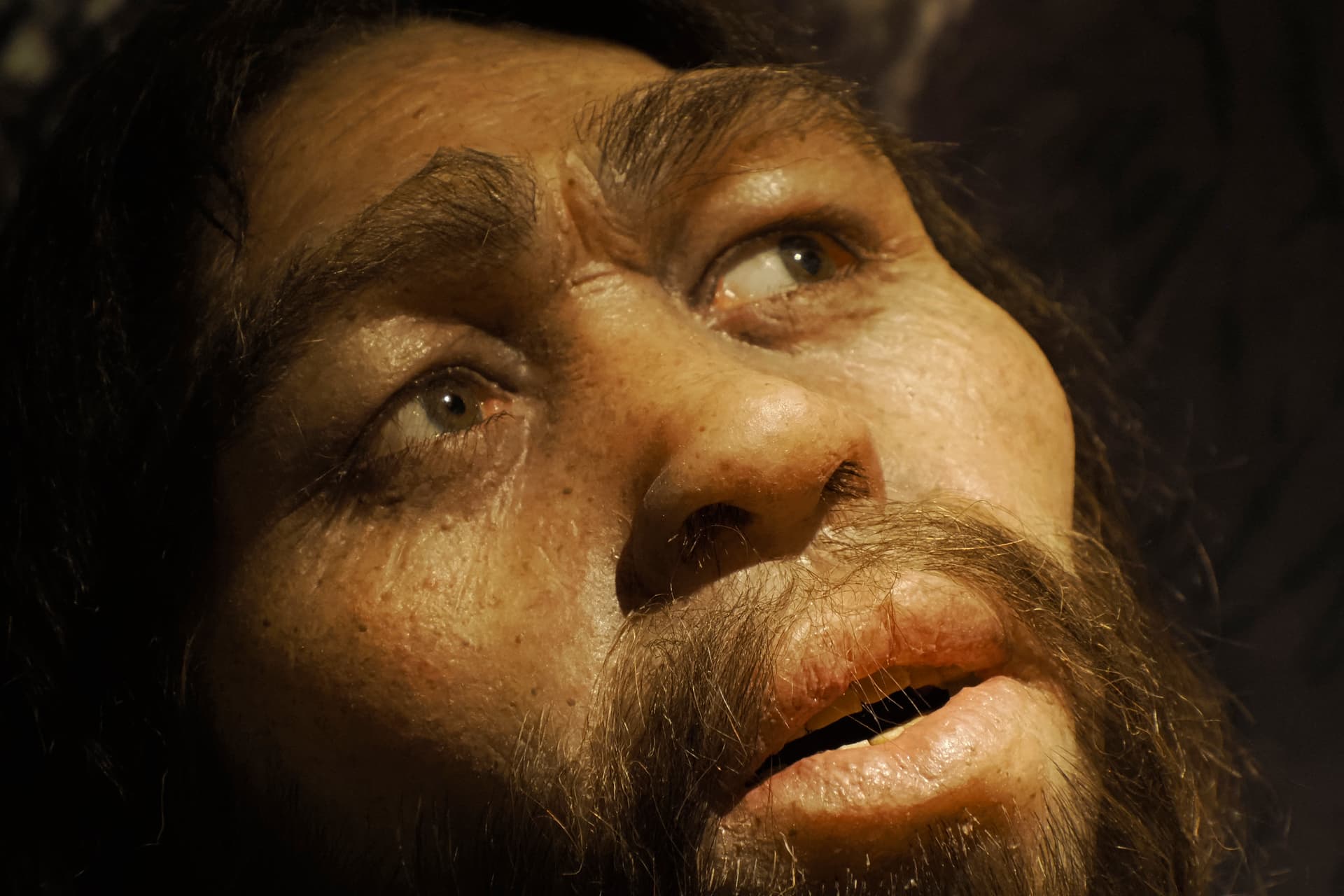 A tudósok egereknek adtak neandervölgyi és gyenyiszovai géneket, teljesen átalakultak az állatok