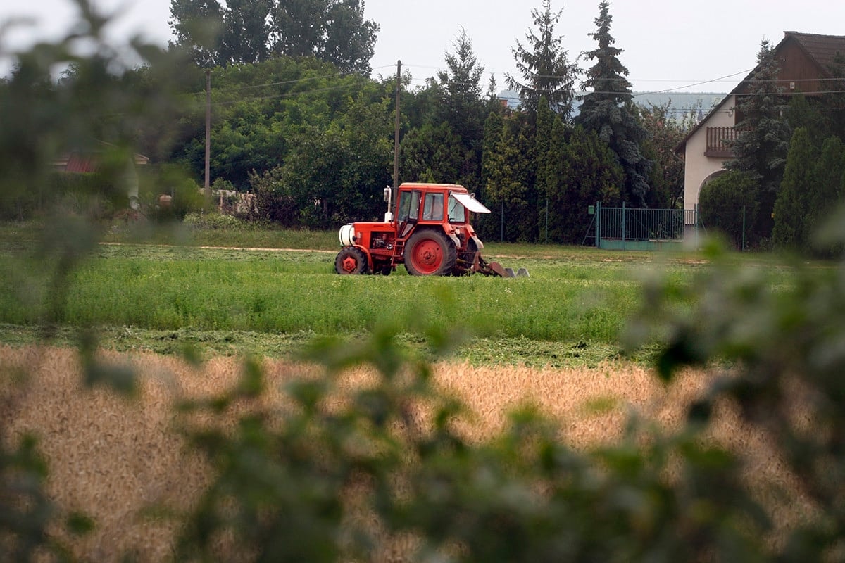 Fiatal gazdákra fókuszál az Agrárminisztérium