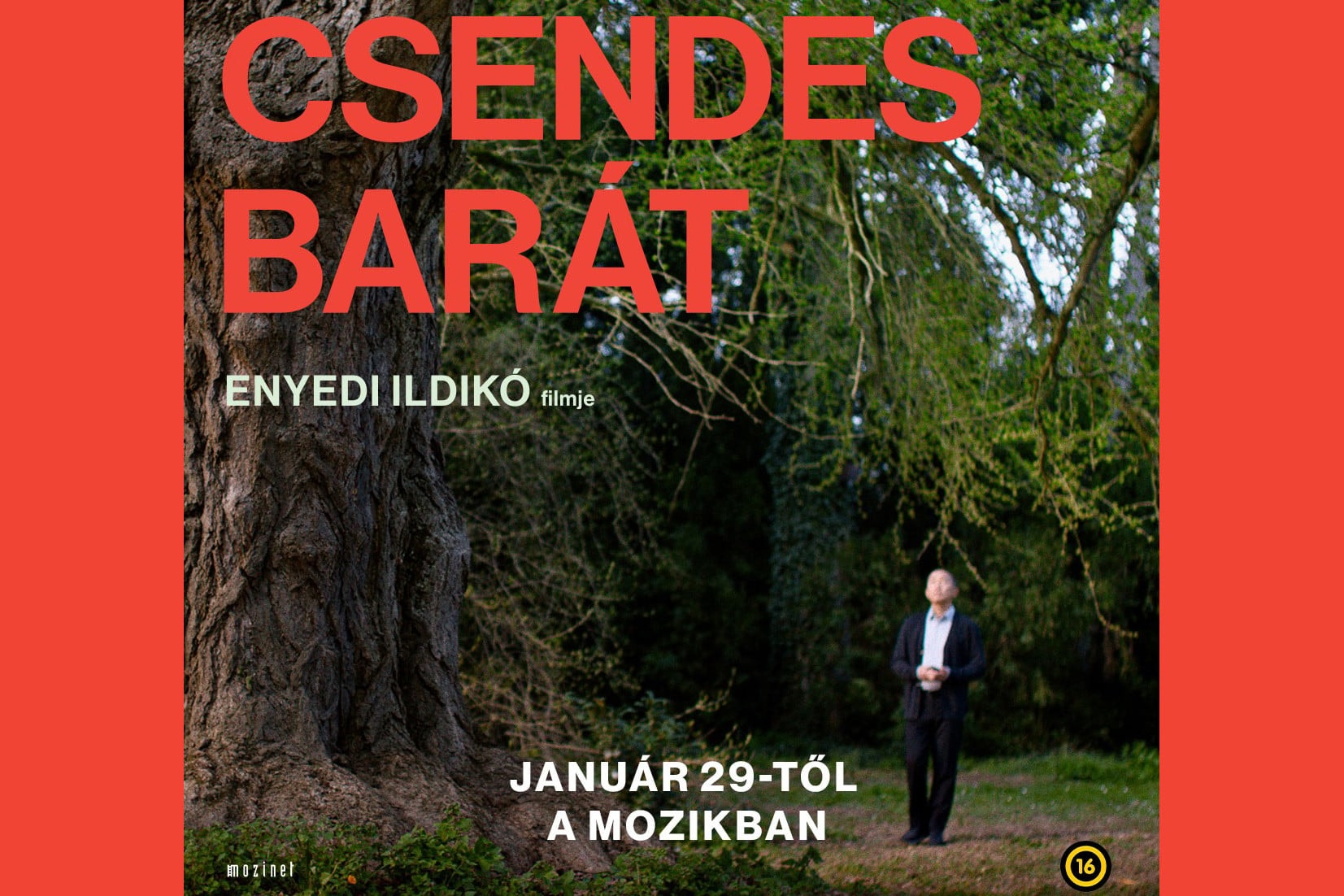 Díjat nyert a Csendes barát