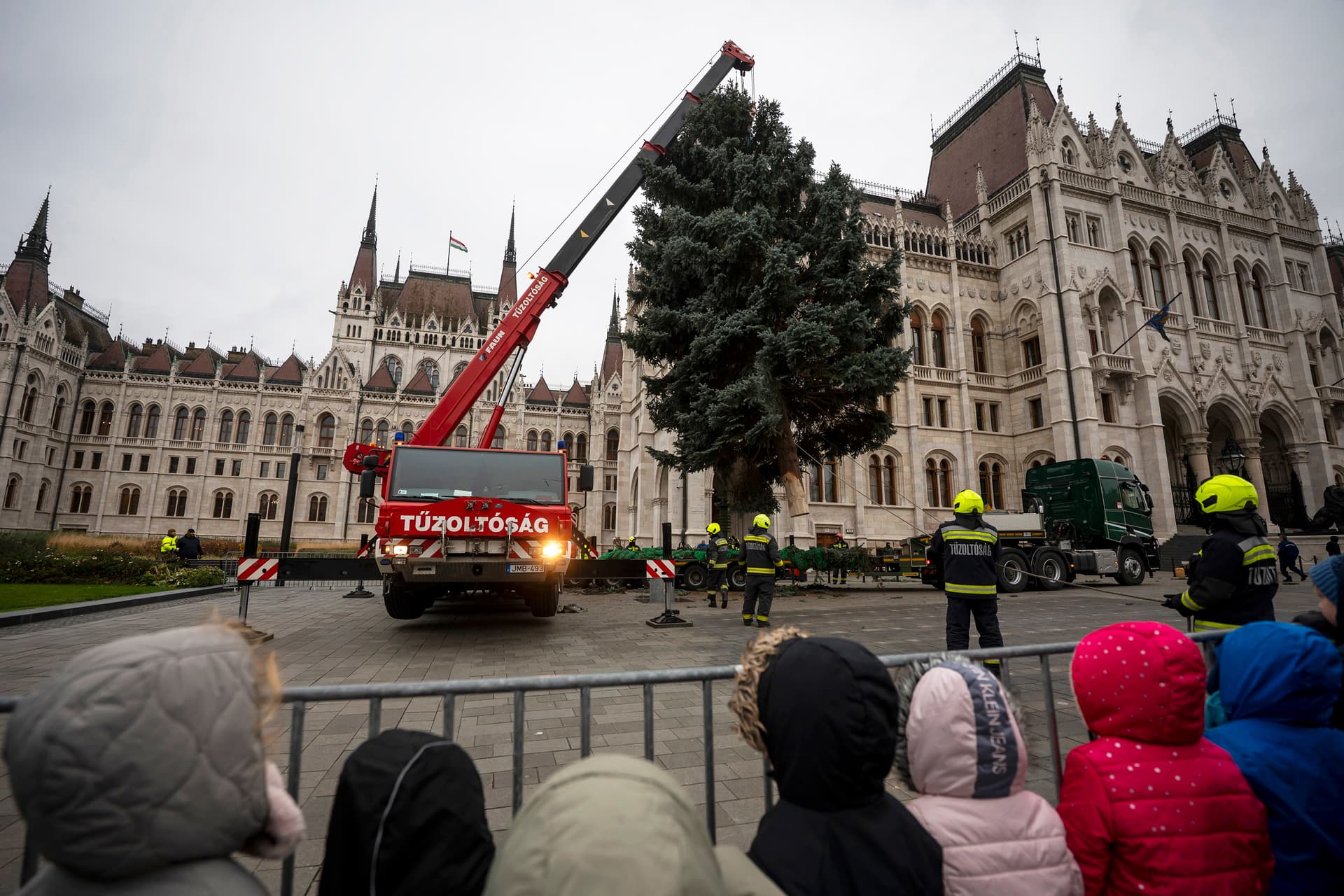 Negyven éves fa díszíti a Kossuth teret
