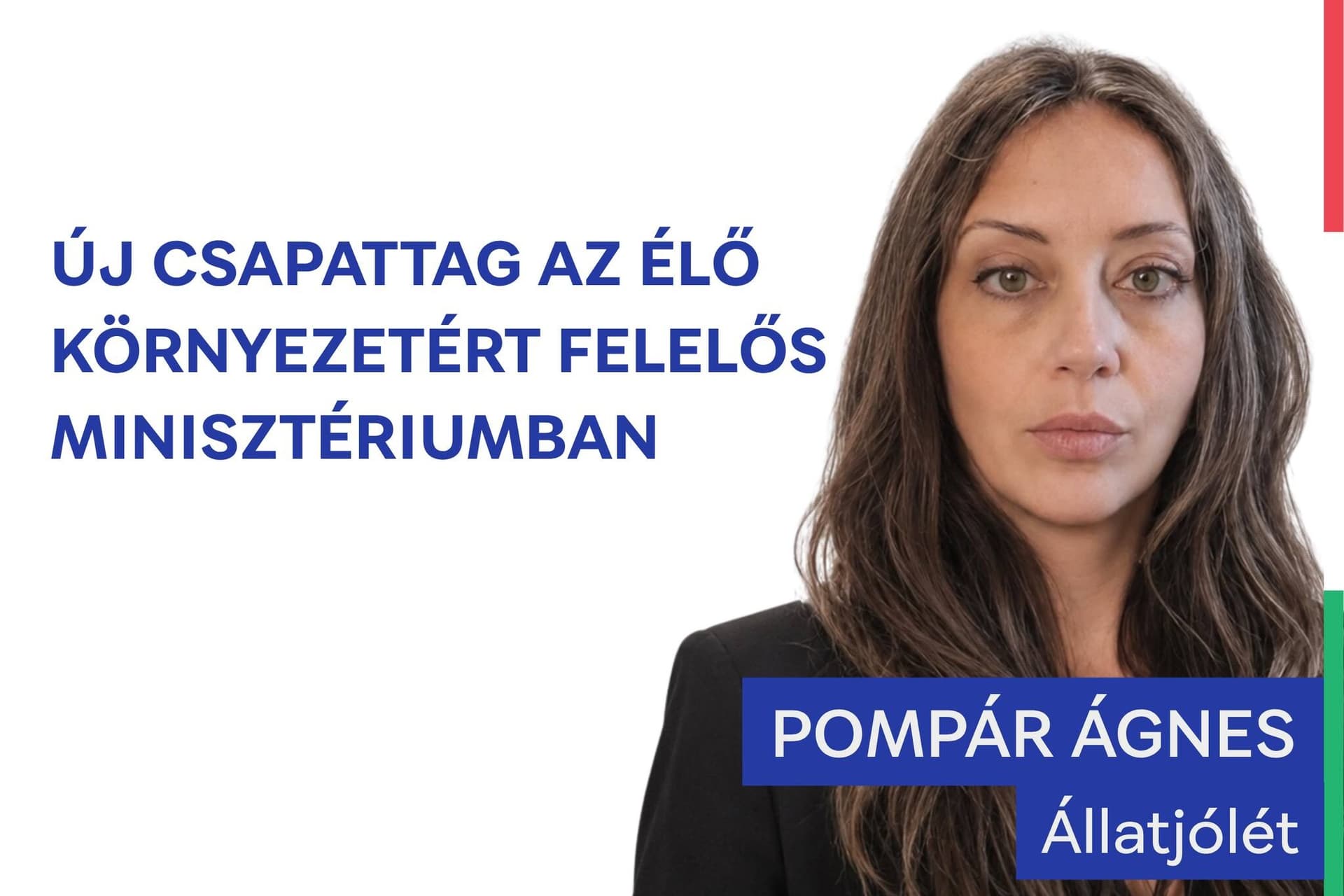 Pompár Ágnes az Élő Környezetért Felelős Minisztériumban