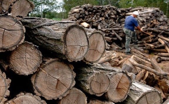 Folyamatosan szállítják a tűzifát a Szociális Tüzelőanyag Program keretében